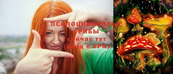 героин Алзамай