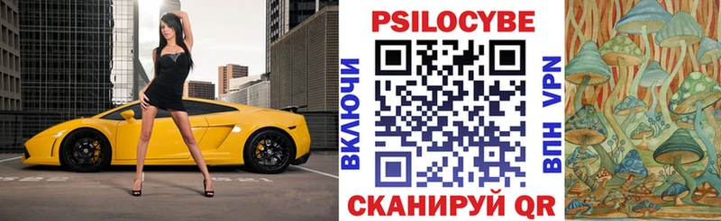 Псилоцибиновые грибы Cubensis  Зерноград 